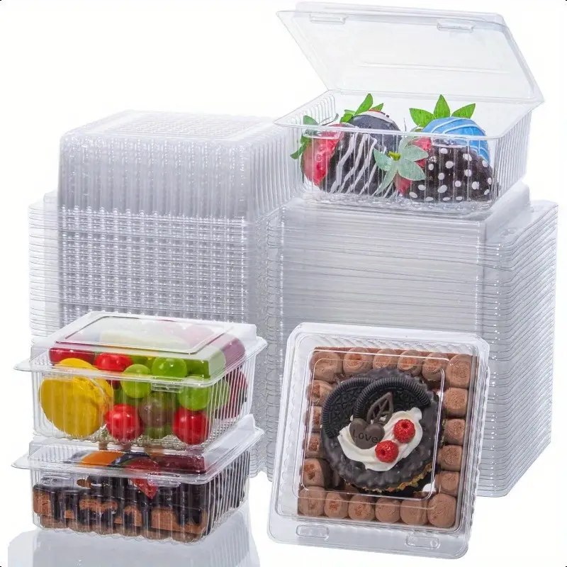 10 Pack Disposable Baking Cake - đánh giá và giá Outdoor Camping Food