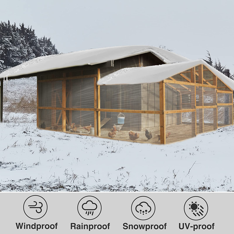 Transparent Tarpaulin 2*3 4 5  - đánh giá và giá Waterproof Tarp Shelter