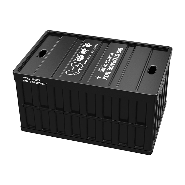 CityLife New Arrival Lightweig - đánh giá và giá Outdoor Camping Folding Storage Box